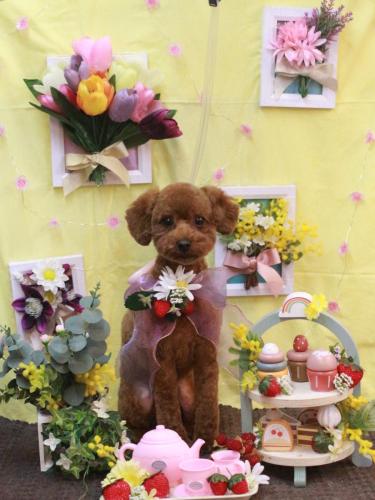 20230311リッチくん